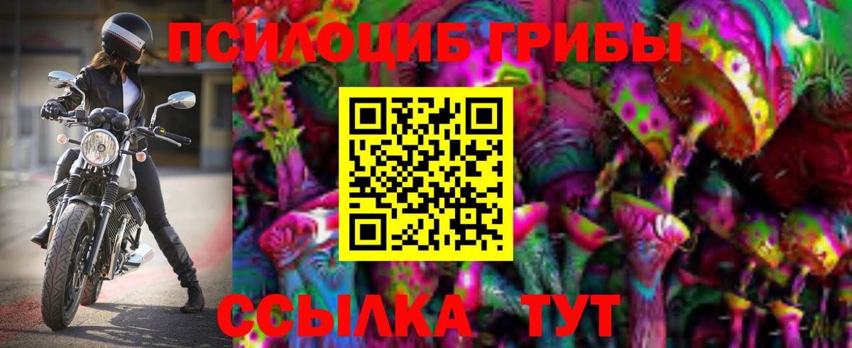 Псилоцибиновые грибы GOLDEN TEACHER  Вход с VPN  наркота  Менделеевск  Псилоцибиновые грибы ЛСД 